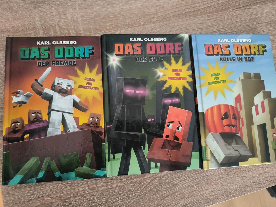Minecraft Bücher in Kamp-Lintfort