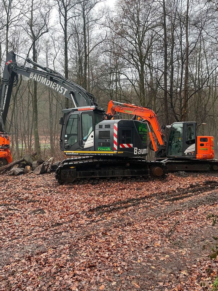 Hitachi ZX225 USLC-5B Fällbagger Westtech woodcracker CS 580 S in Remscheid