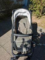 Kinderwagen Leipzig - Grünau-Mitte Vorschau