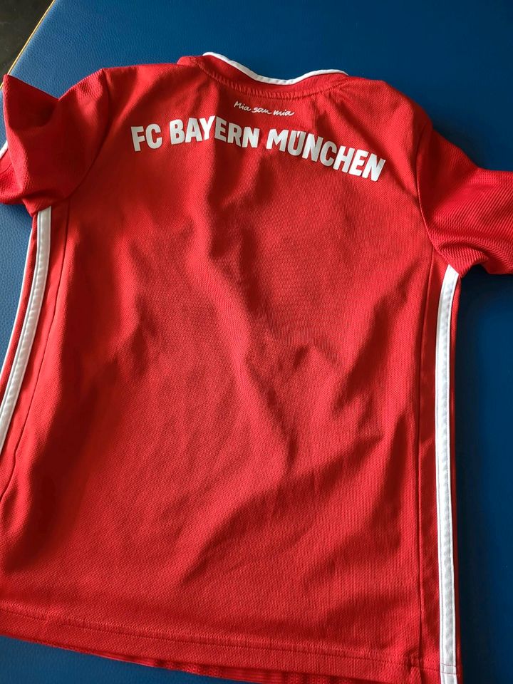 FC Bayern Trikot in Wegscheid