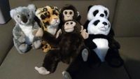 WIE NEU WWF EDEKA Kuscheltiere 6er Set Panda Affe Koala Leopard Bayern - Wilhelmsdorf Vorschau