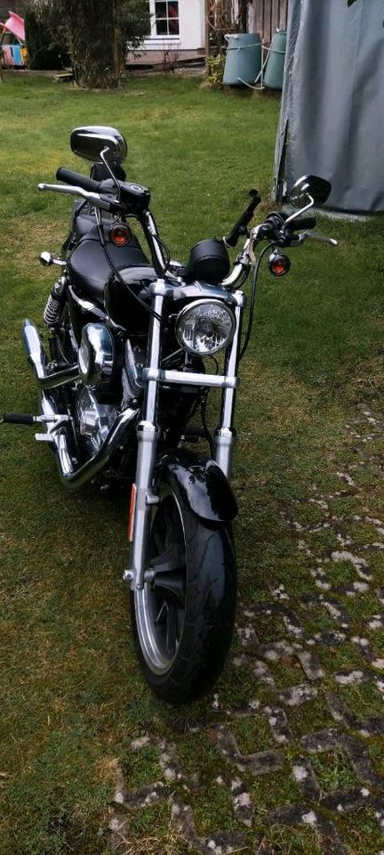 Harley Davidson Sportster 883 Superlow in Bimöhlen