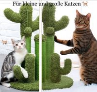 Katzenbaum Kratzbaum Kaktus Katzenspielzeug Neu Nordrhein-Westfalen - Gütersloh Vorschau