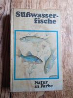 Süsswasserfische Natur in Farbe 1975 Nordrhein-Westfalen - Nideggen / Düren Vorschau