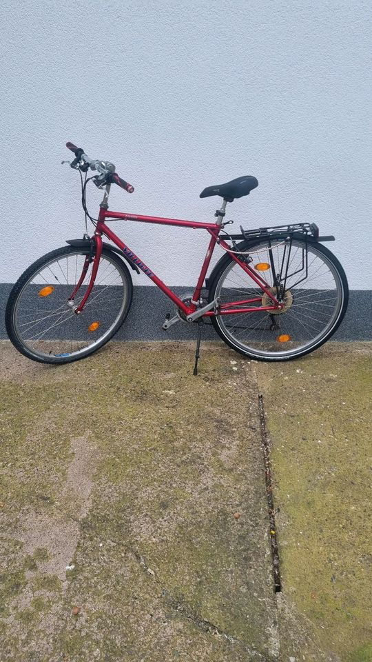 Herren Fahrrad Fahrräder 50 ZollHerren Fahrrad Fahrräder 50 Zoll in Dransfeld