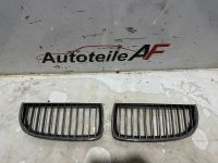 BMW 3er E90 E91 Kühlergrill Nieren Ziergitter 7120009 7120010 Bochum - Bochum-Ost Vorschau