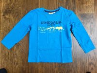 Kids Dinosaurier Shirt / Pullover Gr 110 / 116 Niedersachsen - Bad Sachsa Vorschau