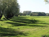 Landwirtschaftliche Flächen zu Pacht gesucht Brandenburg - Lenzen (Elbe) Vorschau