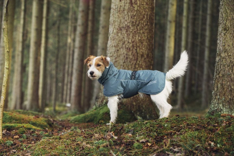 Hundemantel RukkaPets Stormy Coat Wintermantel in camu und olive in Lindau