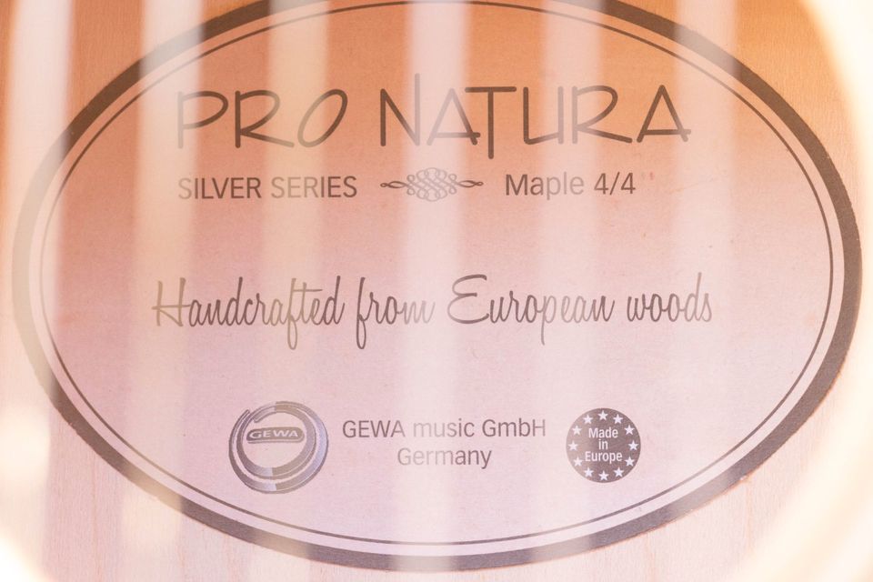 Akustikgitarre Gewa Music PRO NATURA SILVER 4/4 MAPLE in Dielheim