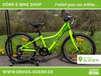 Naloo Chameleon MK2 20″ Light Green Kinderrad Saarland - St. Wendel Vorschau