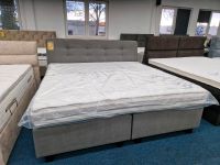 Bett Boxspringbett 200x200 cm Schlafen  grau wohnen Möbel Wurm Niedersachsen - Osnabrück Vorschau