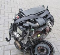 MOTOR FORD FIESTA MK7  1.4 TDCI 7V2Q6007AB Nordrhein-Westfalen - Recklinghausen Vorschau