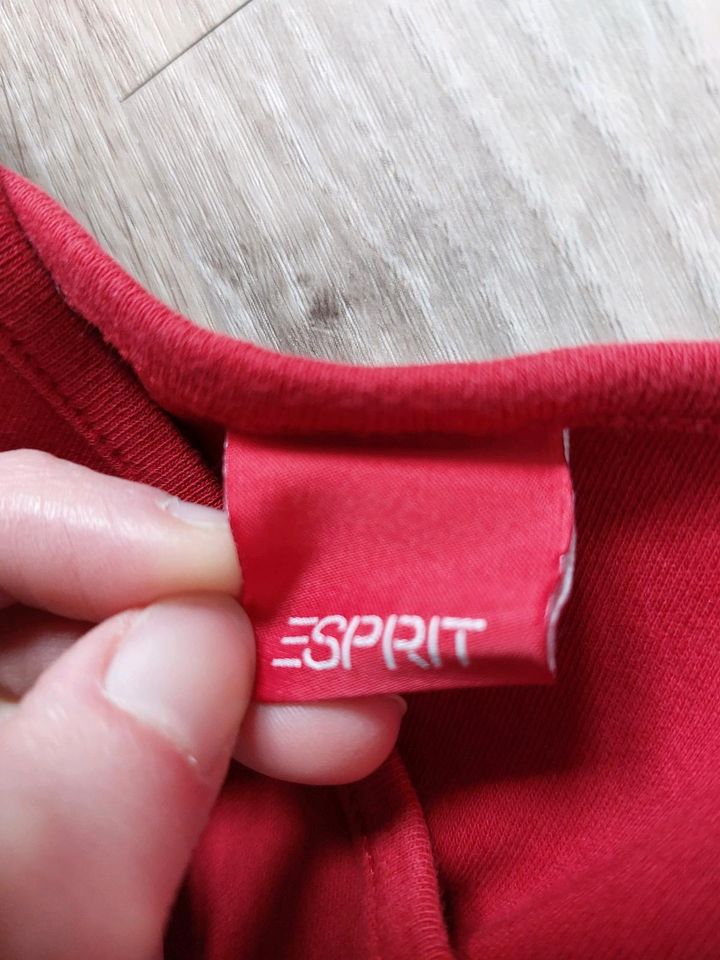 Esprit Basic in Donzdorf