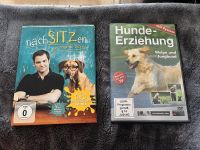 DVD Martin Rütter „nachSITZen“ und „Hundeerziehung“ Brandenburg - Stahnsdorf Vorschau