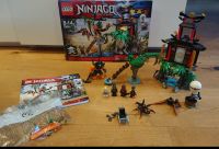 Schwarze Witwen - Insel von Lego Ninjago 70604 Nordrhein-Westfalen - Straelen Vorschau