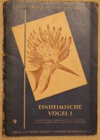 Schreibers kleine Atlanten Einheimische Vögel I Essen - Essen-Stadtwald Vorschau