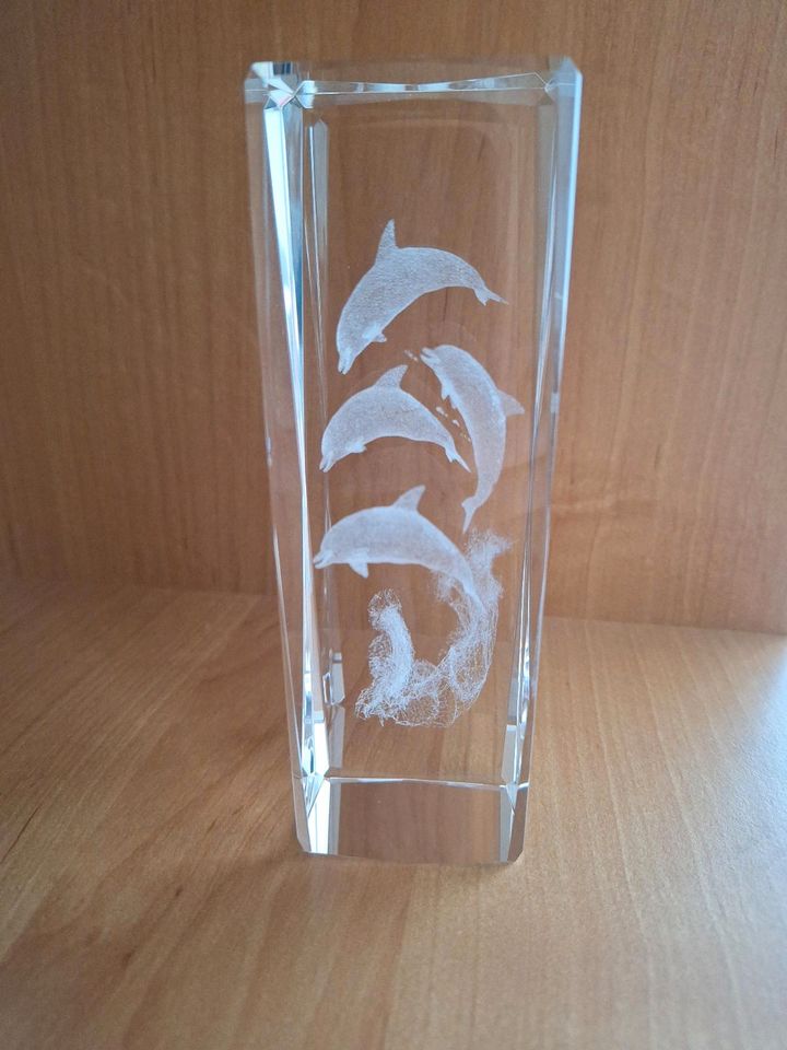 Quader aus Glas mit Delphinen/Delfinen in Hanau