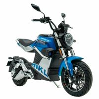 B196 | E-Motorrad | 125 ccm Klasse | Neufahrzeug | Vorbestellen ! Bayern - Büchenbach Vorschau