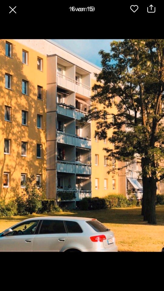 4Zimmer Wohnung Babelsberg/Steinstücken Potsdam in Potsdam