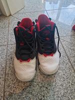 Nike Jordan Flight Grösse 39/40 Hessen - Schmitten Vorschau