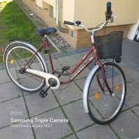 Fahrrad 28 Zoll Niedersachsen - Garbsen Vorschau