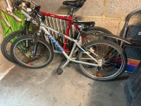 Jugend Fahrrad 24 zoll STEVENS Köln - Ostheim Vorschau