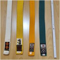 Karate / Judo Gürtel, Weiß, Gelb, Orange, Grün Baden-Württemberg - Bahlingen Vorschau