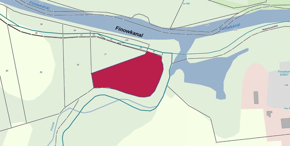 Waldfläche bei Marienwerder, Landkreis Barnim im Land Brandenburg in