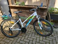 Fahrrad von Bulls 26 zoll Baden-Württemberg - Hessigheim Vorschau