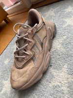 Adidas Ozweego beige braun Gr 38 2/3 Flensburg - Mürwik Vorschau