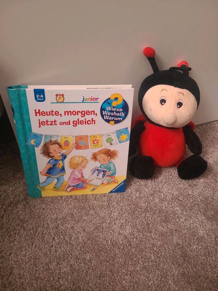 Verschiedene Kinderbücher in Plauen