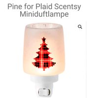 Scentsy pine for plaid Berlin - Neukölln Vorschau