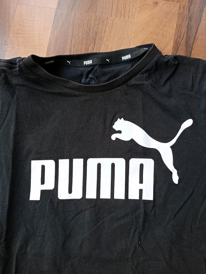 Puma T-Shirt Größe 164 in Salzkotten