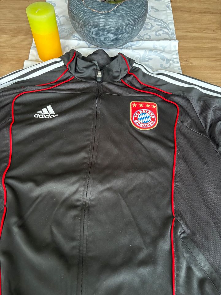 Bayern München Adidas Trainingsjacke in Pritzier
