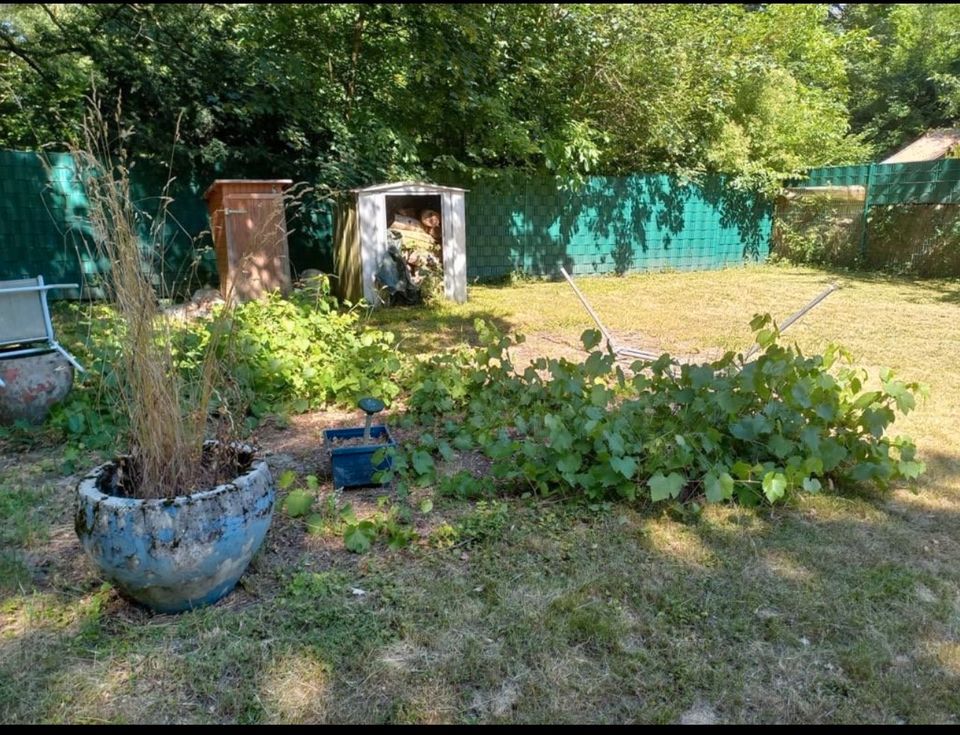 Gartengrundstücke in Solingen