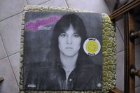 Ulla Meineke Von toten Tigern und nassen Katzen Vinyl LP Baden-Württemberg - Spiegelberg Vorschau