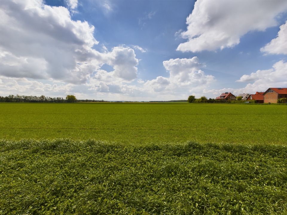 WOHNUNG MIT BLICK ZUM HARZ - RENOVIERT UND EINZUGSBEREIT - 2 ZIMMER MIT EINBAUKÜCHE! KLIMANEUTRAL! in Braunschweig