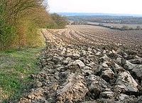 Ackerflächen gesucht Niedersachsen - Emsbüren Vorschau