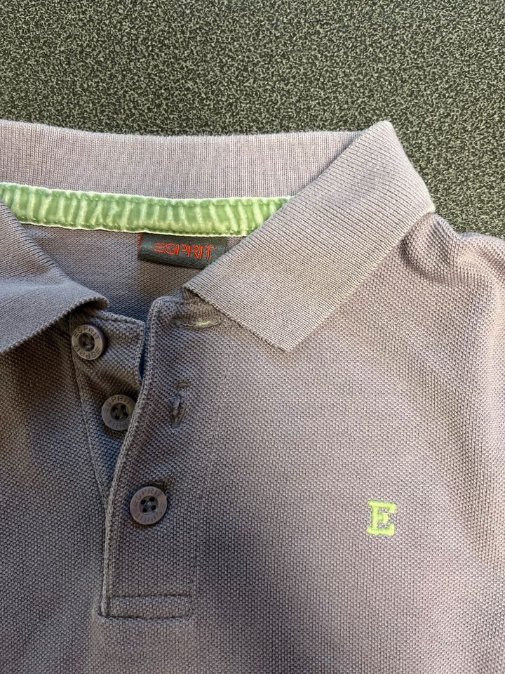 Polo t-Shirt 104/110 von Esprit in Nürnberg (Mittelfr)