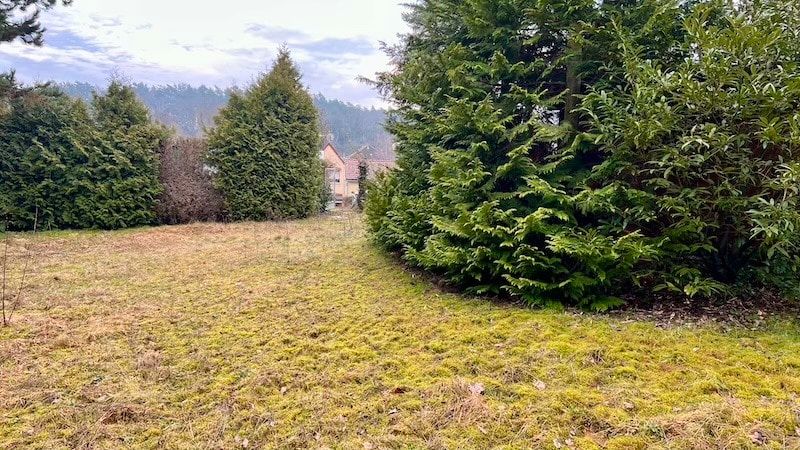 Traumhafte Lage am Waldrand in Lutherstadt Wittenberg