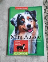 Mini Aussie - Australien Shepherd Buch Bayern - Eckental  Vorschau