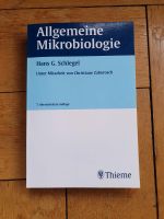 Allgemeine Mikrobiologie Schlegel Thieme Freiburg im Breisgau - Altstadt Vorschau