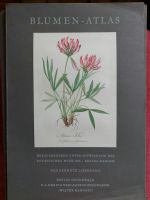 Blumenatlas 1950 Botanisches Museum Brandenburg - Petershagen Vorschau