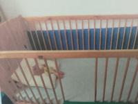 Babybett / Kinderbett Dresden - Dresden-Plauen Vorschau