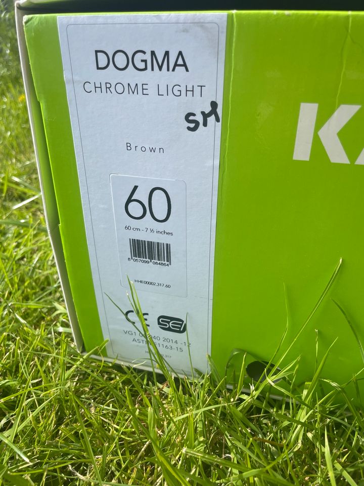 Reithelm Kask Dogma Chrome light braun in Deggendorf