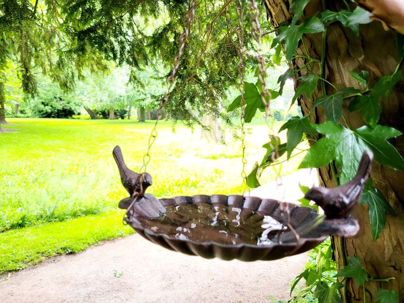 Vogeltränke zum Hängen Gusseisen Balkon-Hängetränke Futterschale in Rheine