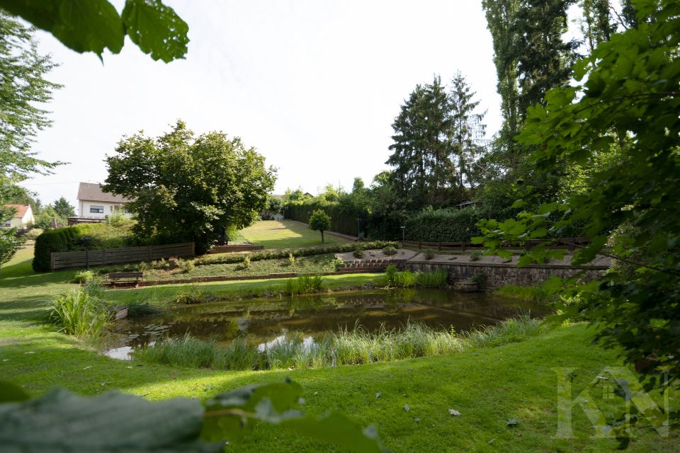 Gepflegtes Wohn - und Geschäftshaus mit laufender Gastronomie in Riegelsberg