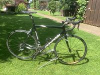 Rennrad, Cannondale, Synapse, L, Carbon Hessen - Florstadt Vorschau