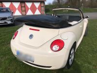 Cabrio VW Beetle beige schönes Sommerfahrzeug Nordrhein-Westfalen - Ennigerloh Vorschau
